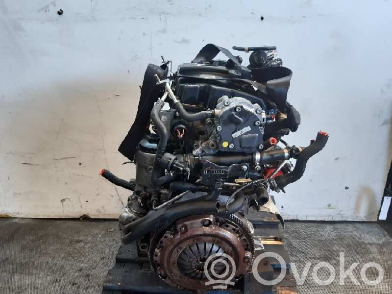 Motor   AMF