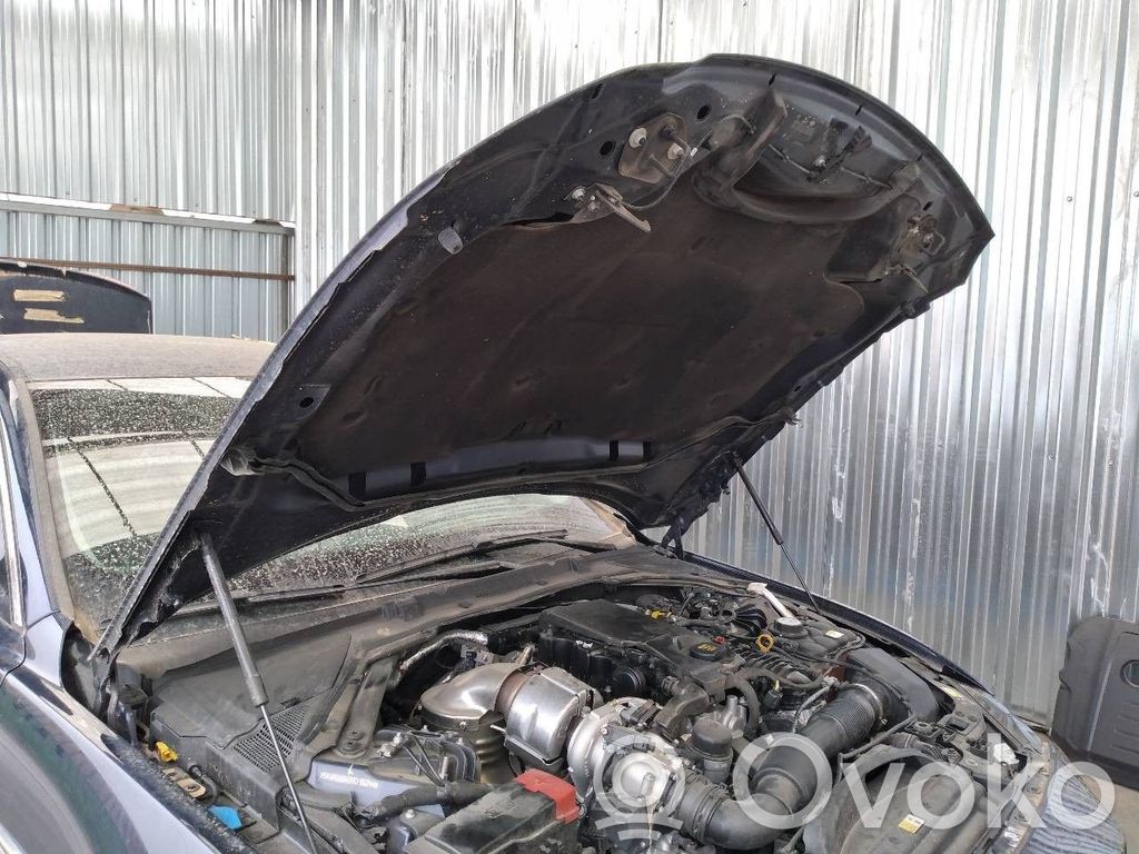 Amortizor capotă motor   GX7316C826AB