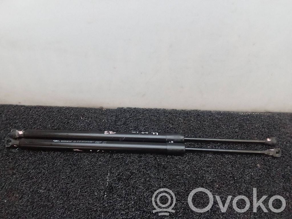 Tailgate/trunk strut/damper