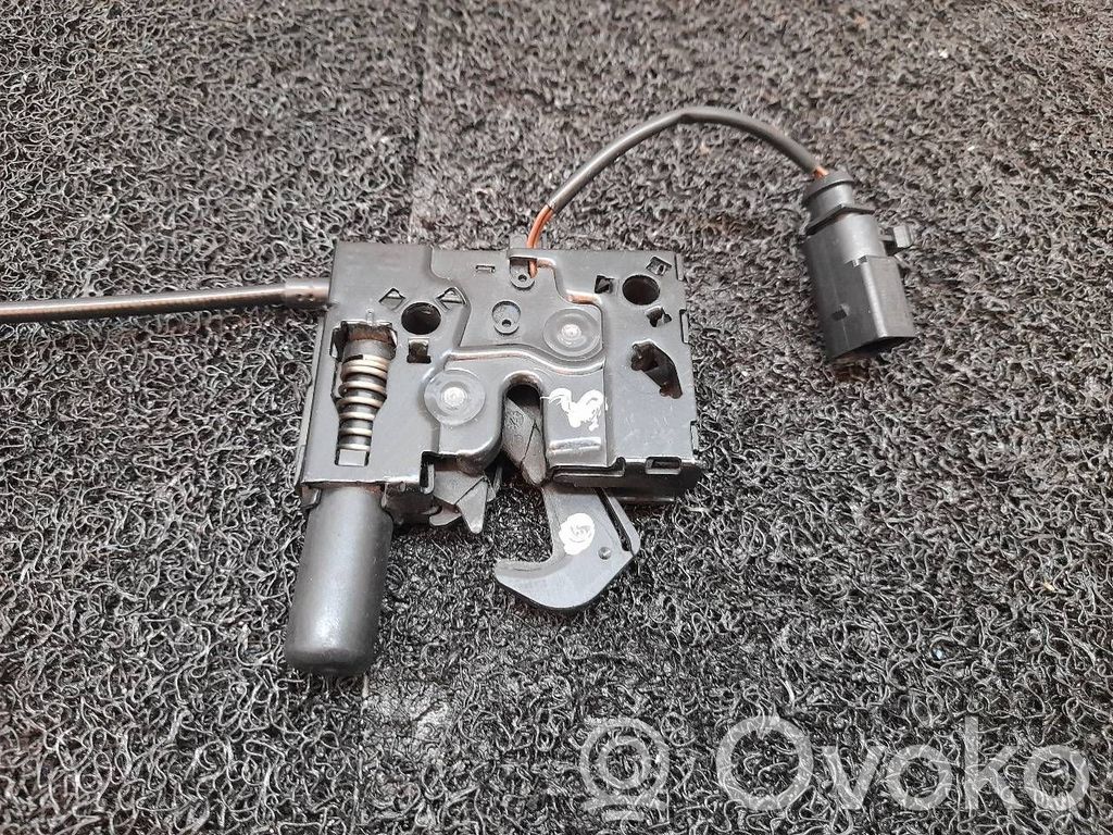 Tie down hook / loop   8W0823509C