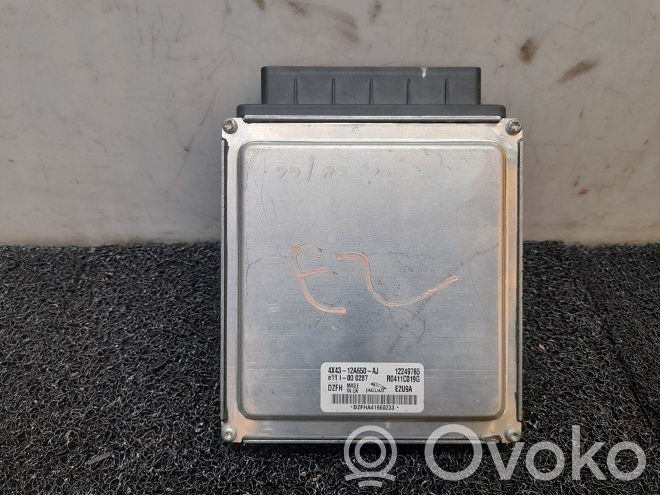 Jaguar X-Type Engine control unit/module 