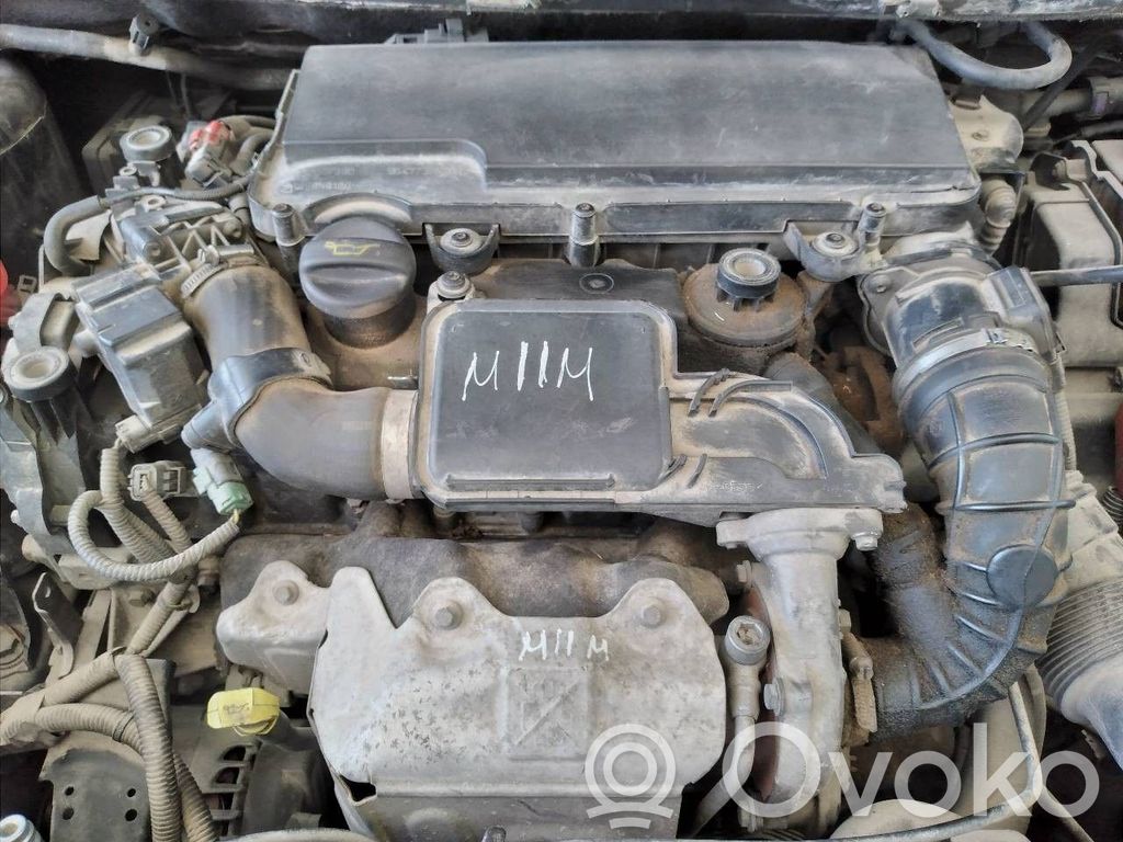 Ford Fiesta Motore