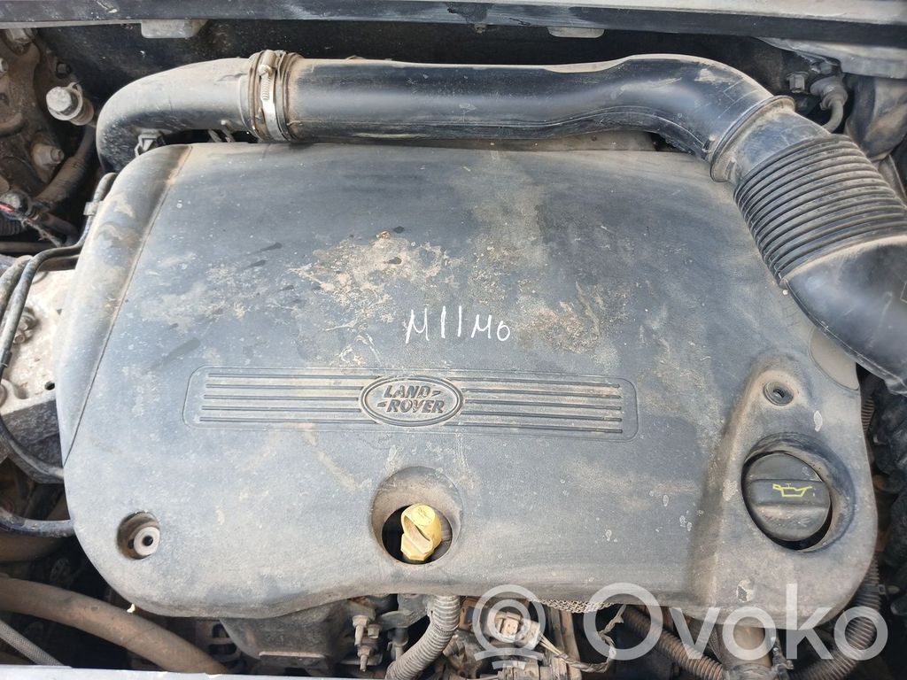 Motor