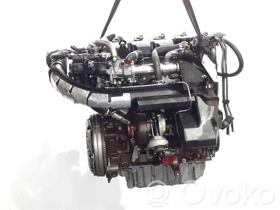 Motor   QXBA,D4204T