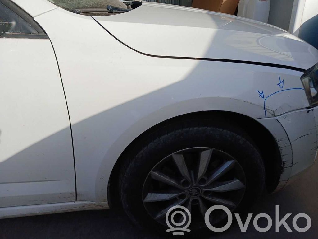Skoda Octavia Mk3 (5E) Aile