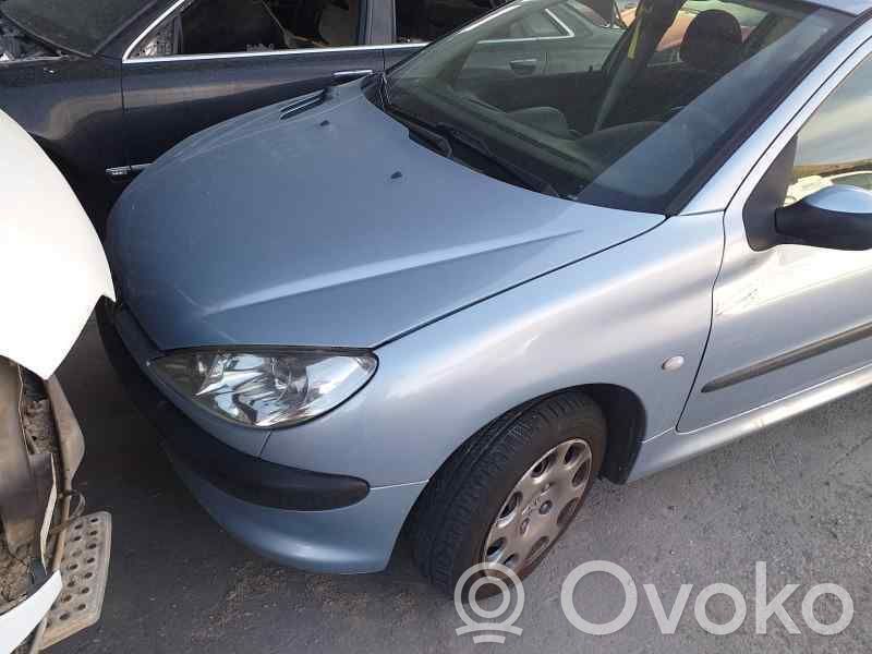 Peugeot 206 Macara ușă față cu motor 