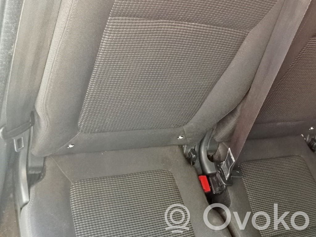 Cinturón trasero