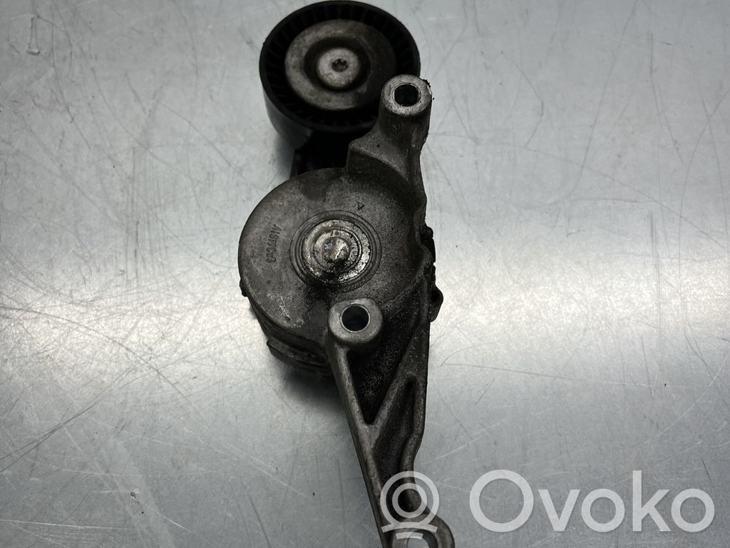 Volkswagen PASSAT B6 Napinacz paska alternatora 