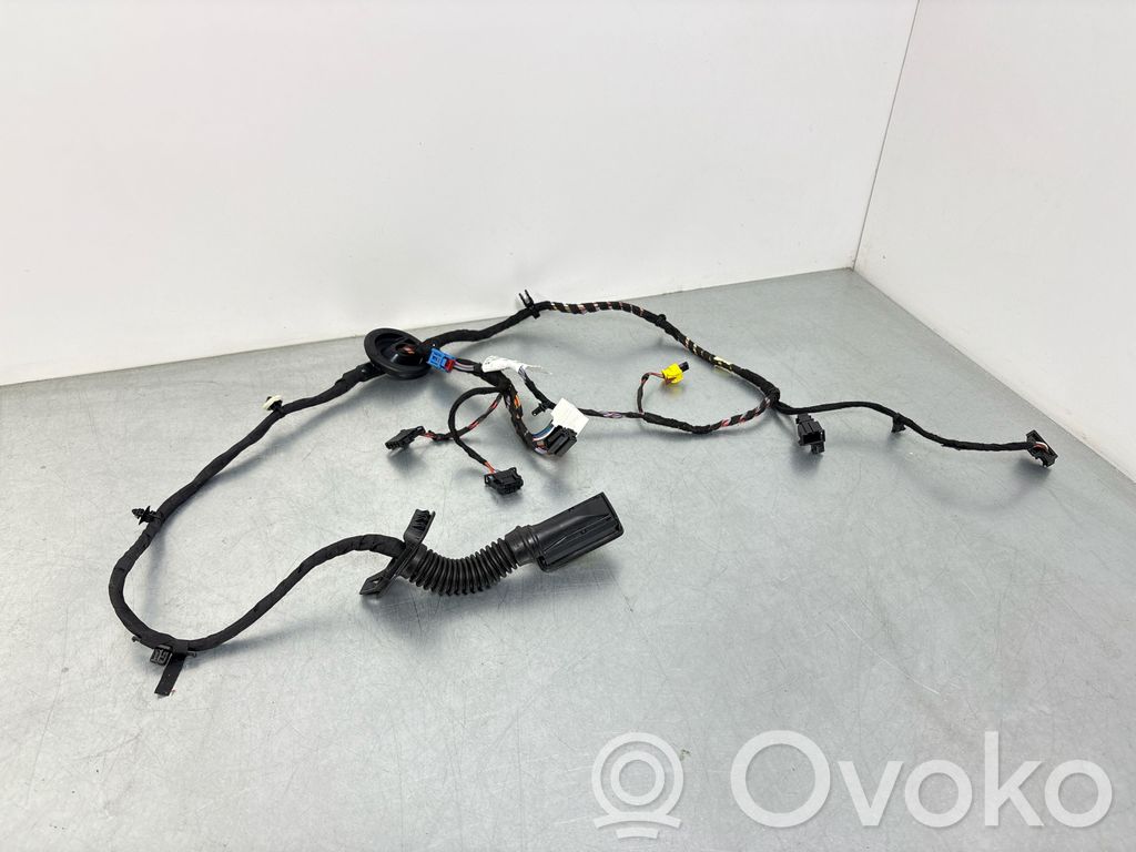 Volkswagen PASSAT B9 Front door wiring loom 