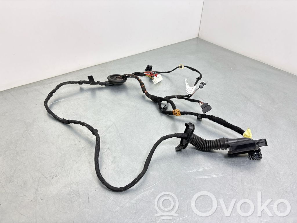 Volkswagen PASSAT B9 Rear door wiring loom 