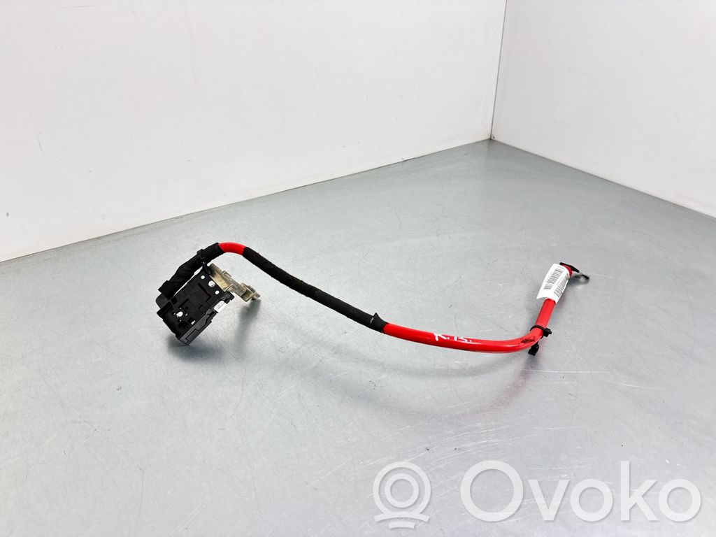 Plus / Klema / Przewód akumulatora   CK5214N144CE,A50082193,A50077681