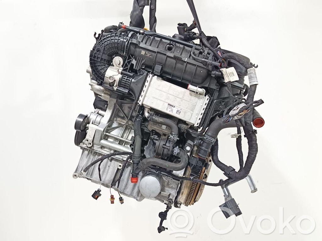 Motor   DPB