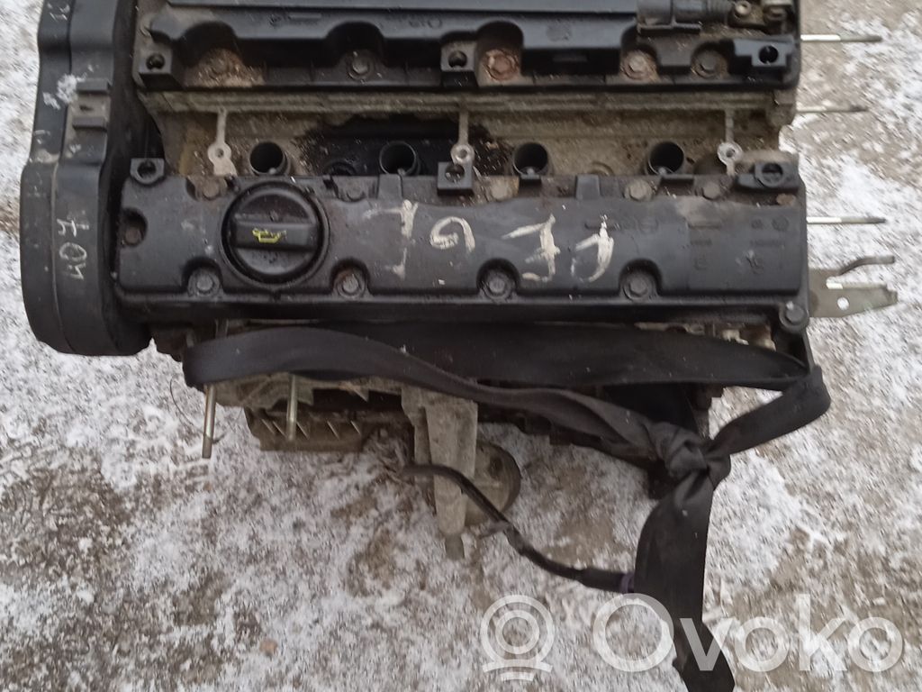 Variklis   EW67