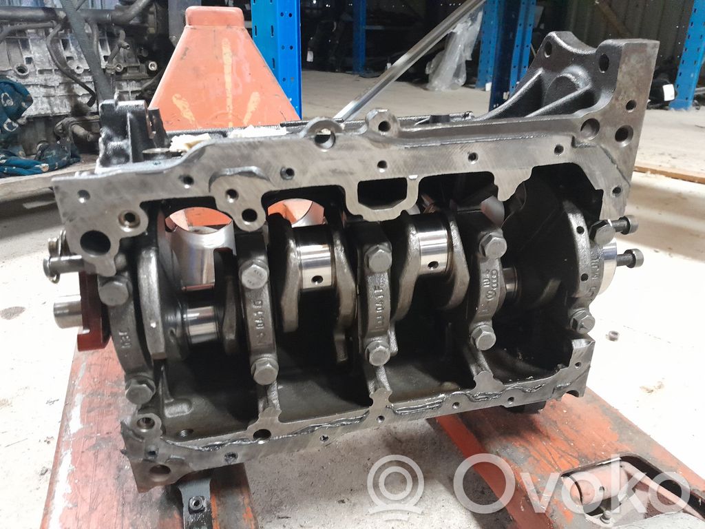 Volkswagen Golf VI Blokas 
