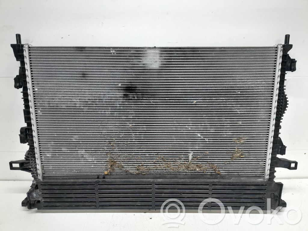 Ford Focus Coolant radiator 