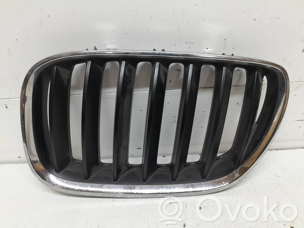 BMW X5 E53 Augšējais režģis 