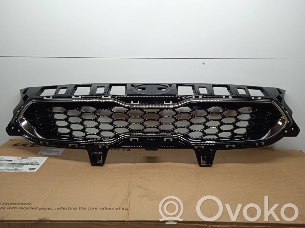 Oberes Gitter vorne   86350J7010