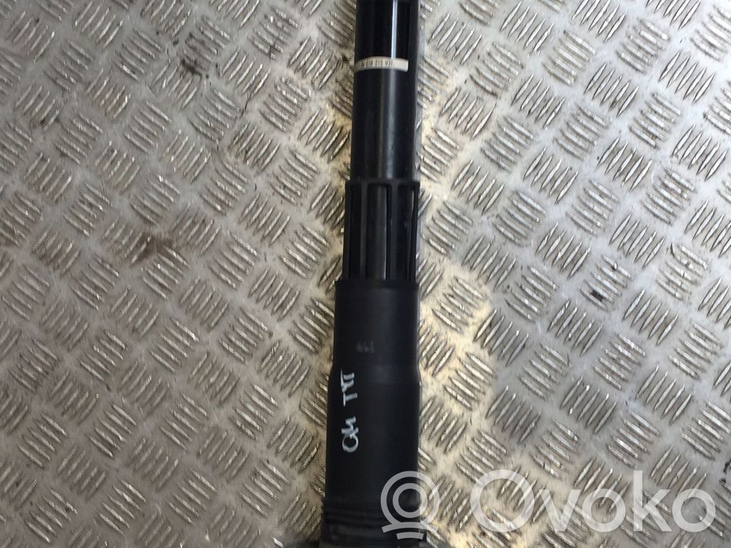 Stoßdämpfer vorne   1EA512013AK,1EA512013AK