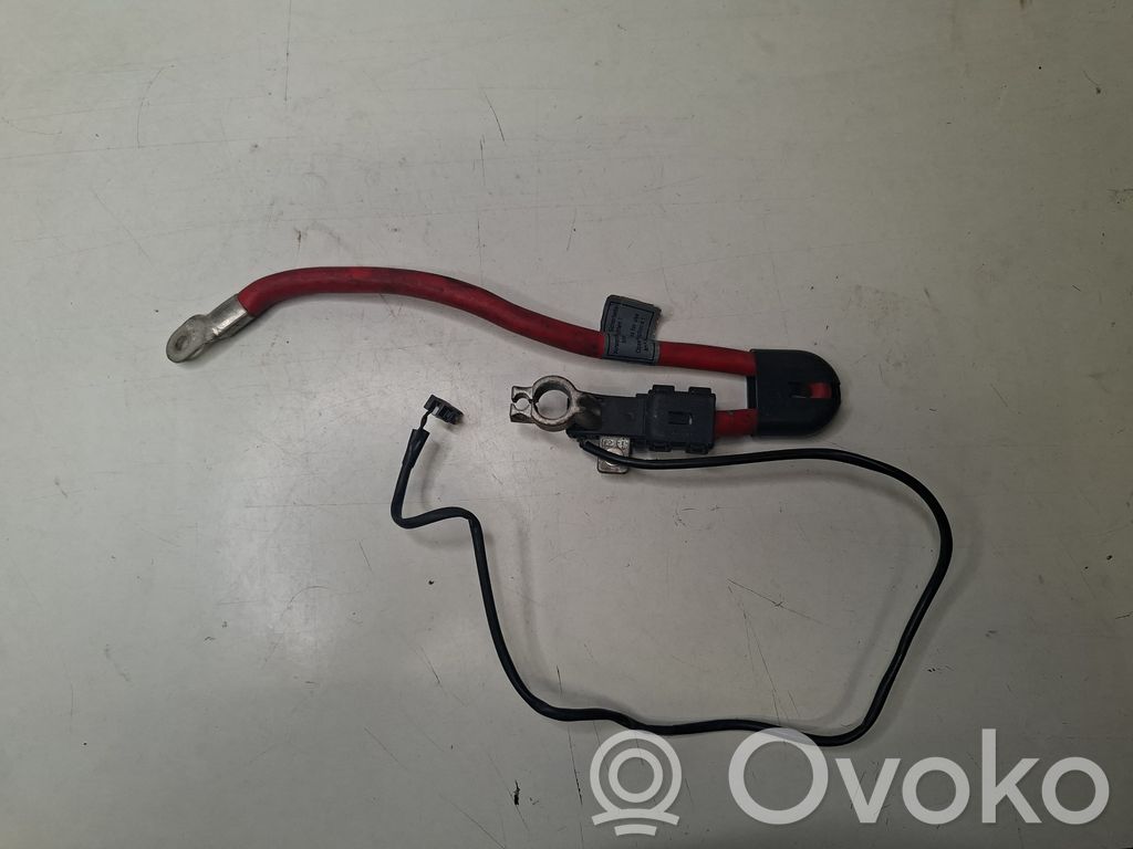 Plusa vads (akumulatora)   0762239030,BAMPT10678