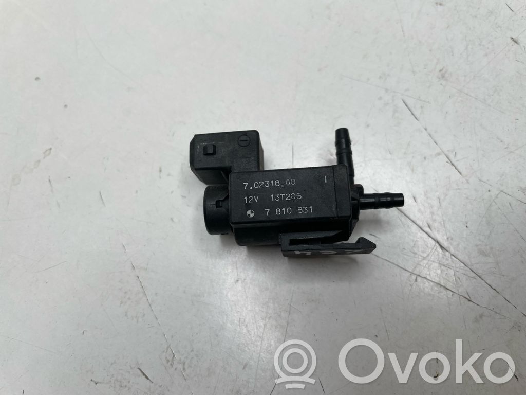 Solenoīda vārsts   7810831,70231800,13T206