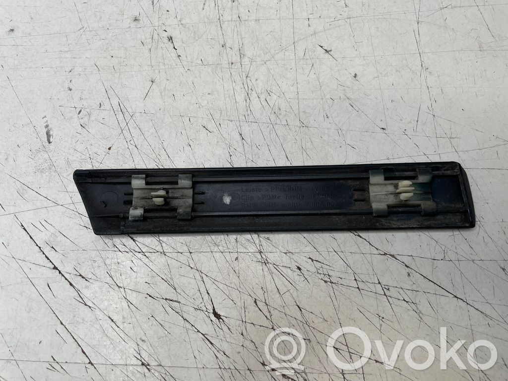 BMW 5 E39 Mască aripă față (turnată) 