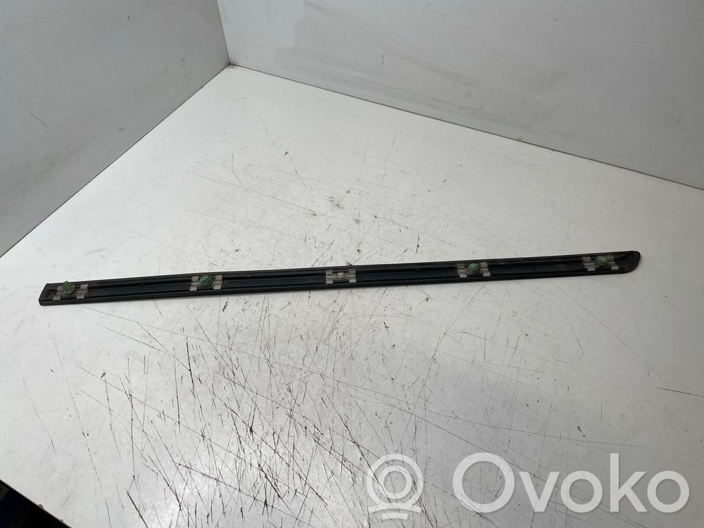 BMW 3 E46 Listón embellecedor de la puerta delantera (moldura) 