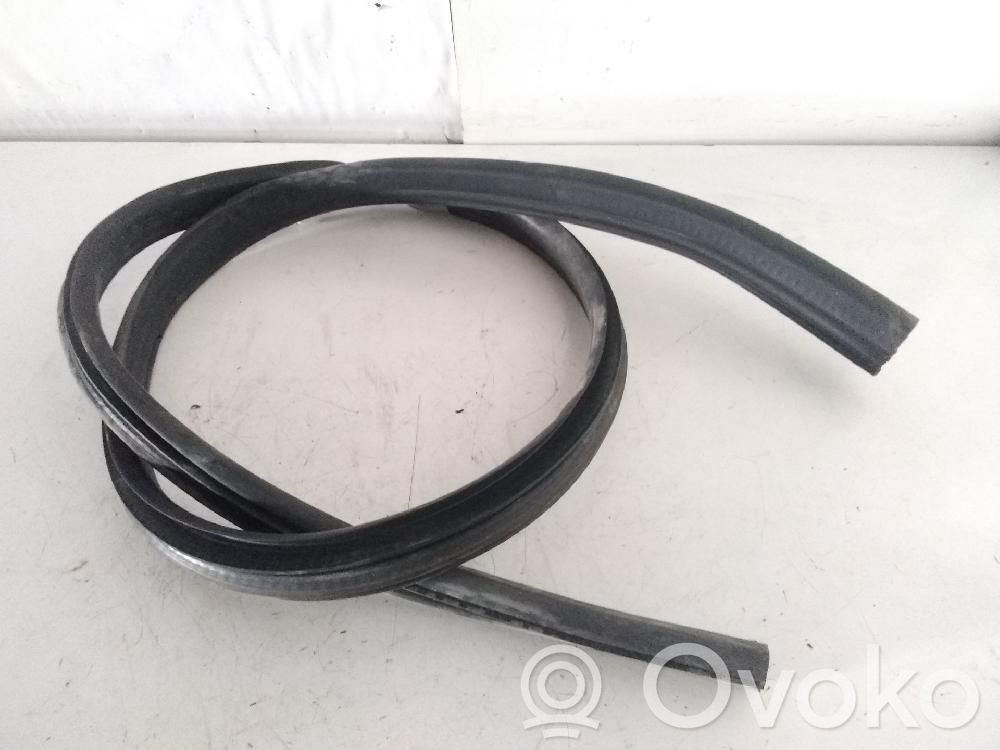 Opel Astra G Rubber seal front door (on door) 