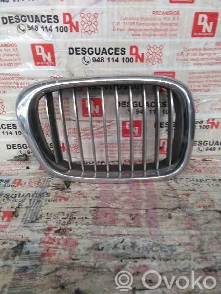 Front grill   2494066