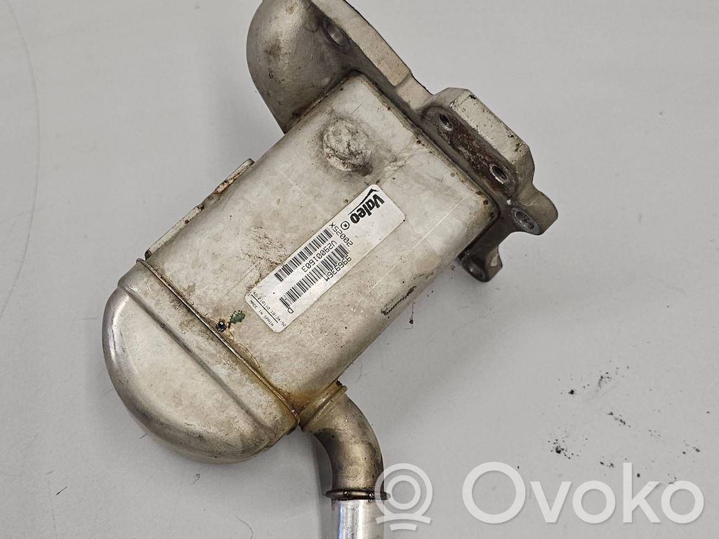 Renault Megane III EGR-venttiili/lauhdutin 