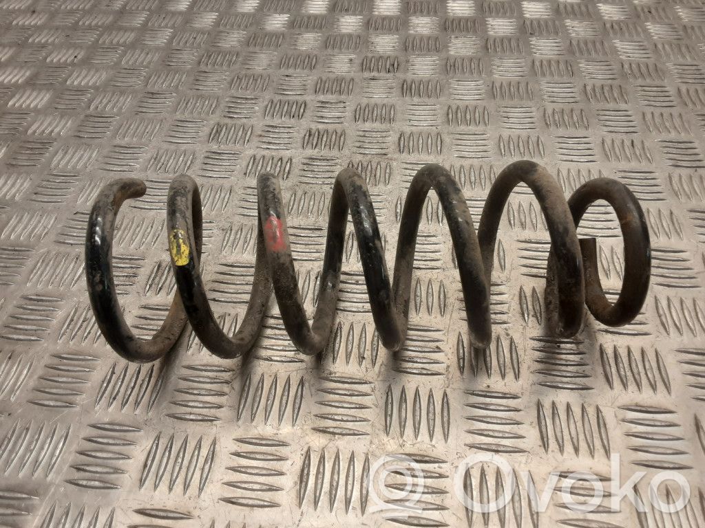 Rear coil spring
