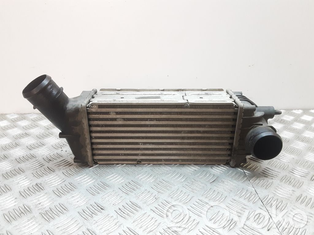 Peugeot 307 Intercooler radiator 