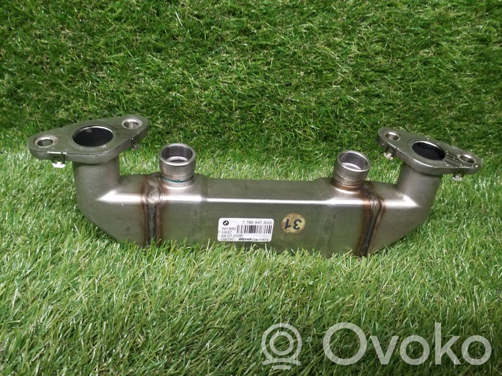 EGR valve cooler   7796847