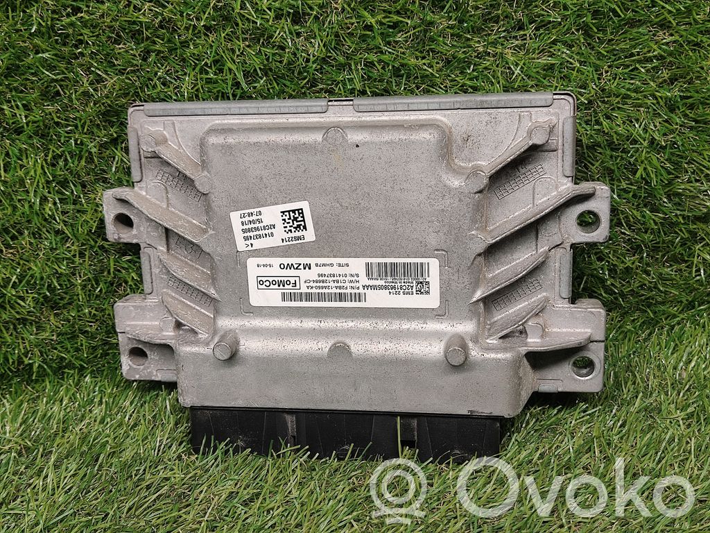 Engine control unit/module ECU   F2BA12A650KA,C1BA12B684CF