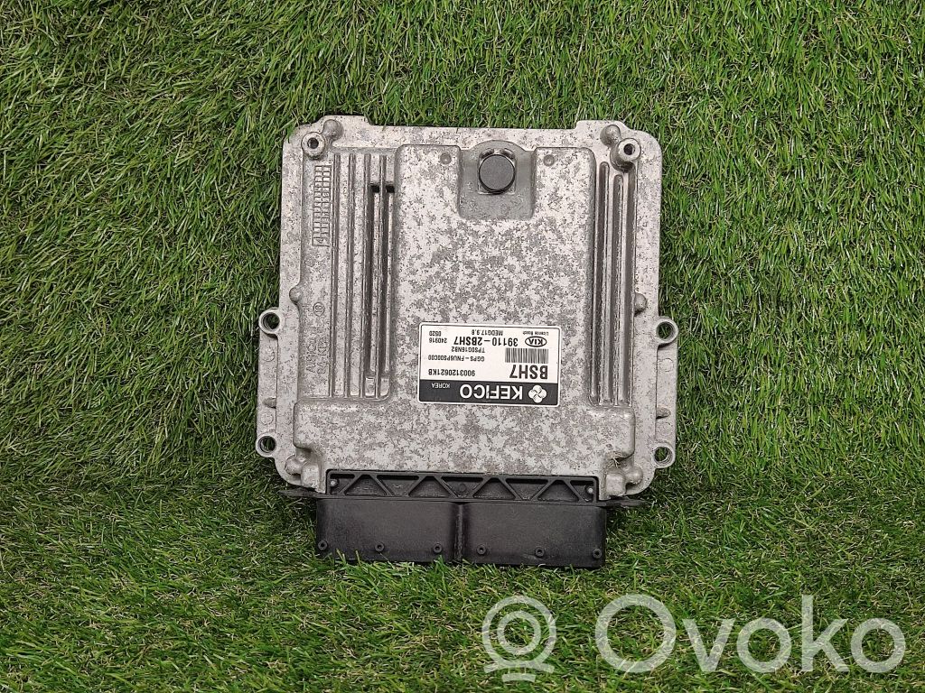 Engine control unit/module ECU   391102BSH7
