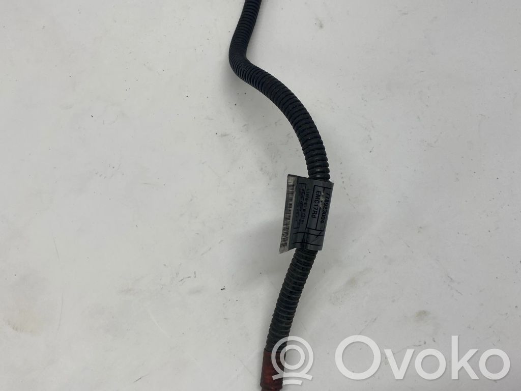 Other wiring loom   778923104,759959Z,77892310