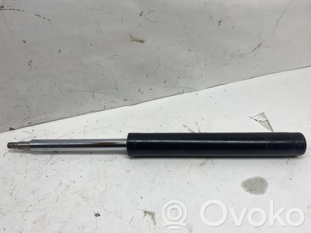 Amortyzator przedni   363601EGT,E503