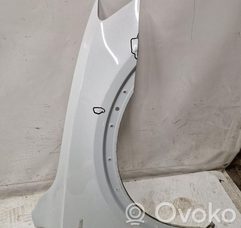 Kotflügel   8U0,DAWIDCZESCIPR