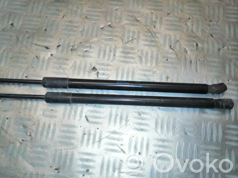 Audi RS3 8PA Amortiguador/puntal del maletero/compartimento de carga 