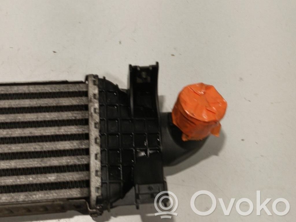 Intercooler radiator
