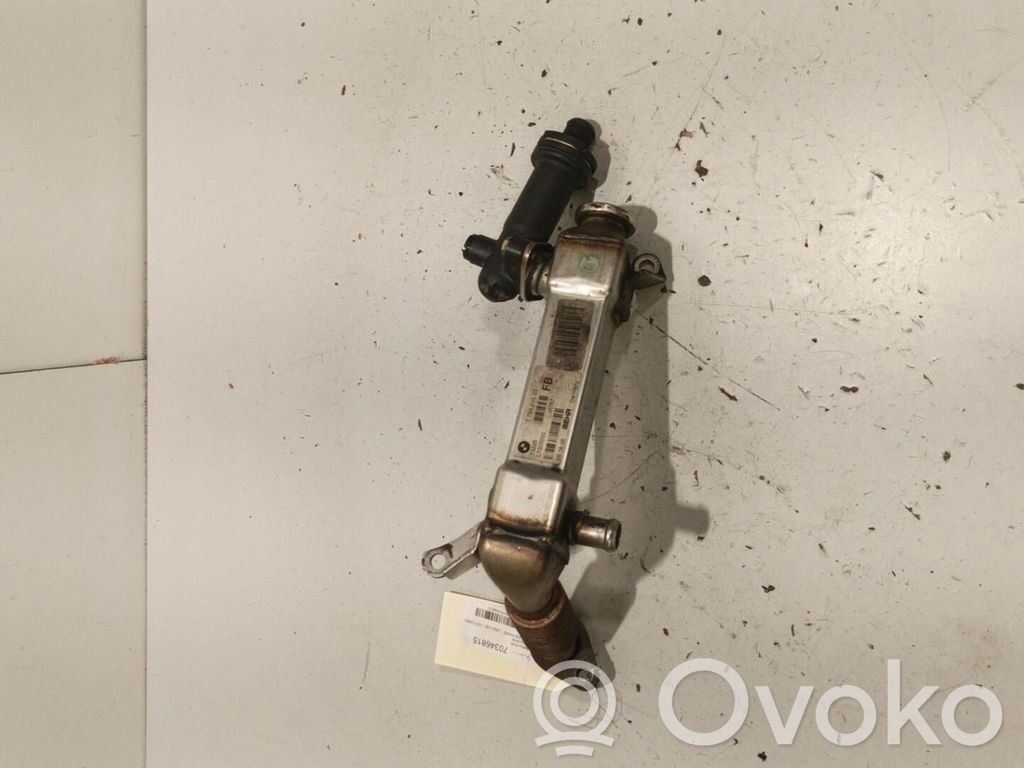 BMW 3 E90 E91 EGR aušintuvas 