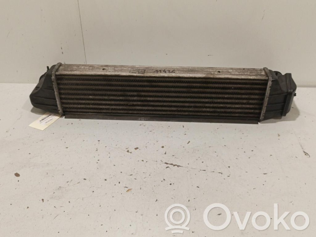 Intercooler radiator   17512246795