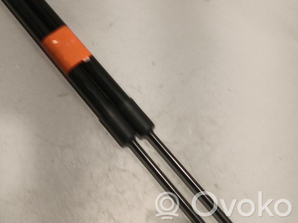 Audi A1 Tailgate/trunk strut/damper 
