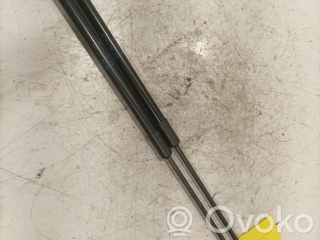 Audi Q2 - Tailgate/trunk strut/damper 