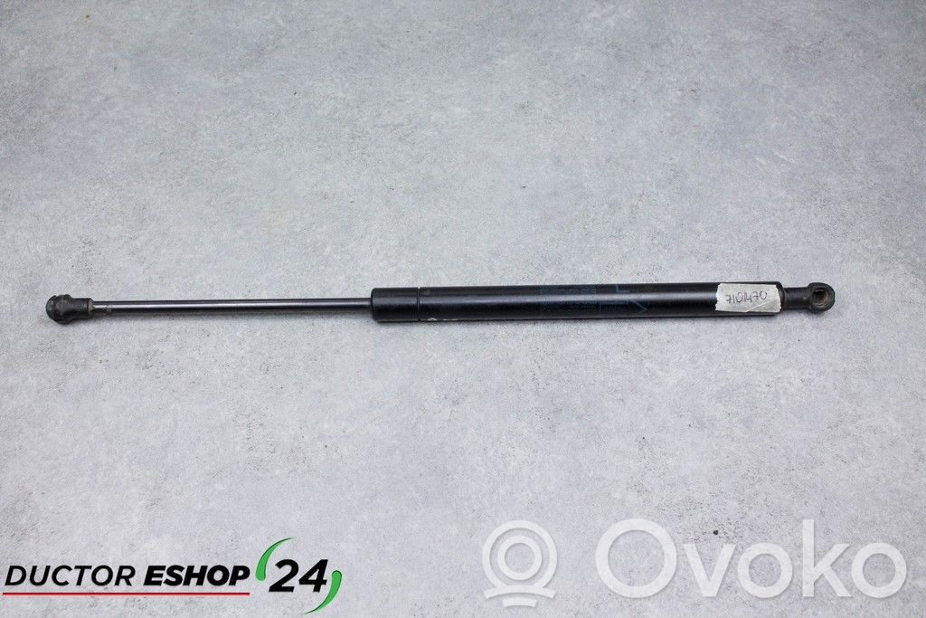 Tailgate/trunk strut/damper