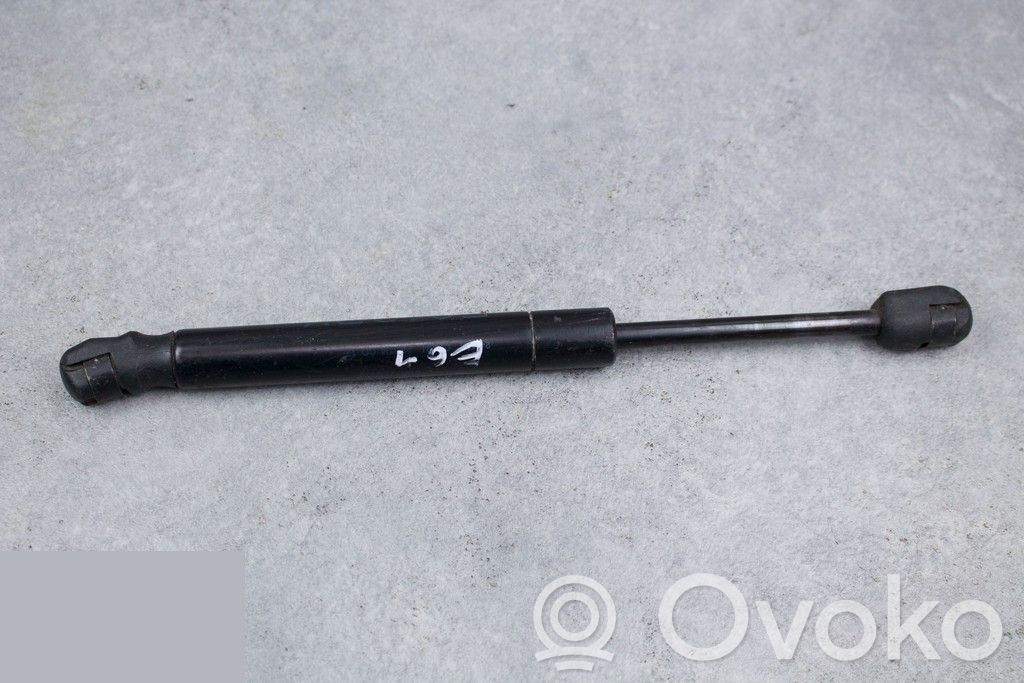 Tailgate/trunk strut/damper   7148826