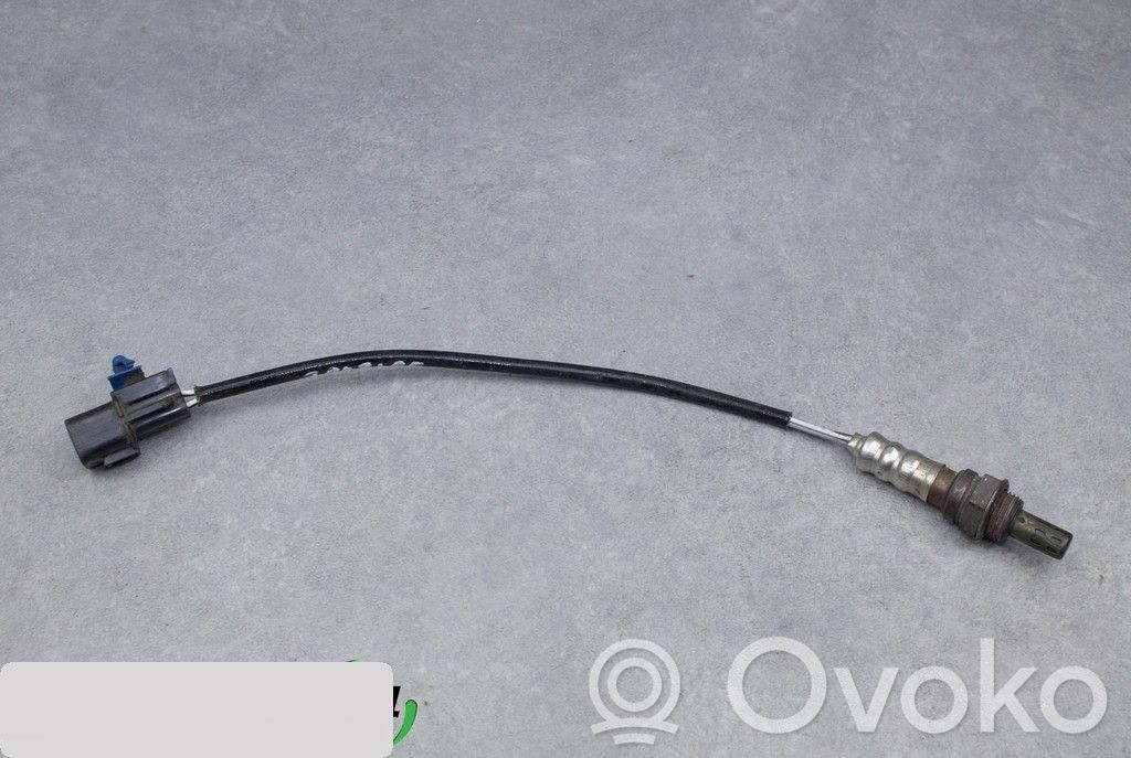 Зонд «Lambda»   341W208810,341W20
