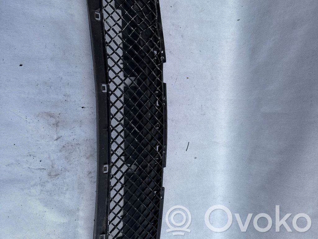 BMW 3 E46 Front grill 