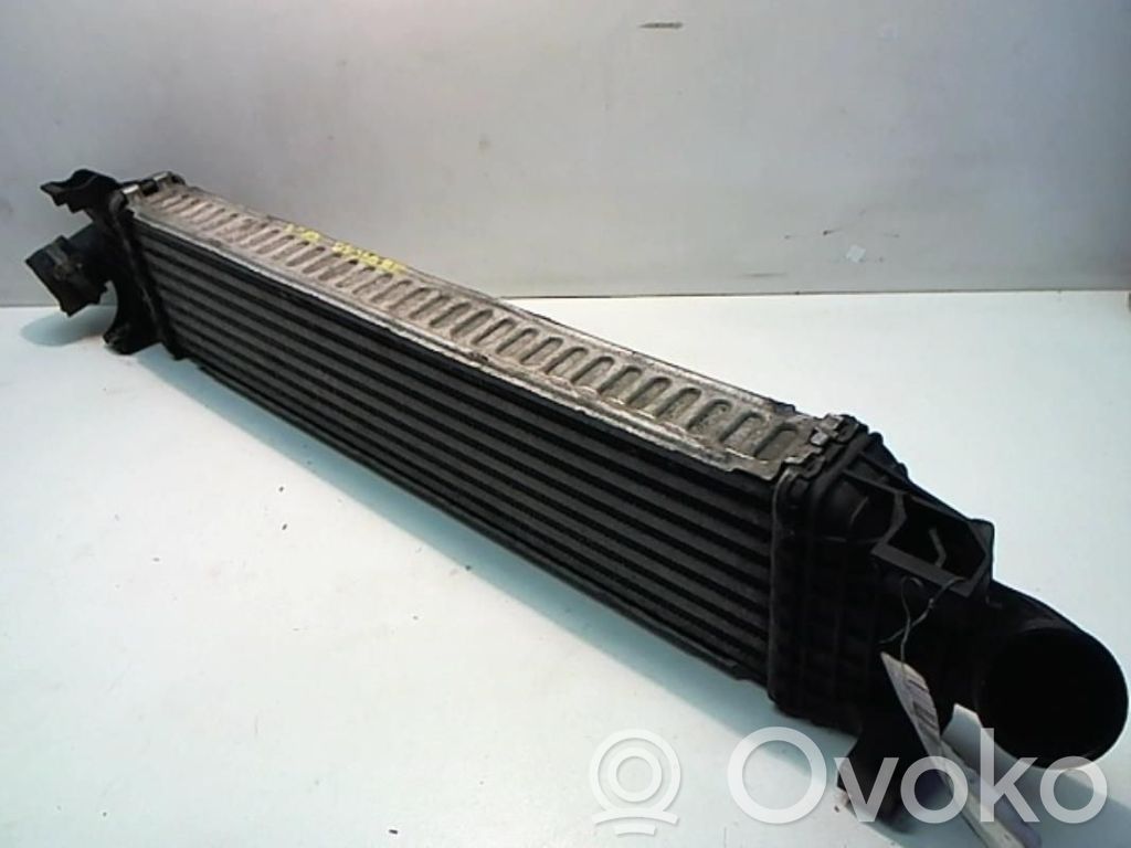 Interkūlerio radiatorius   1746975,FORCMAECH38675