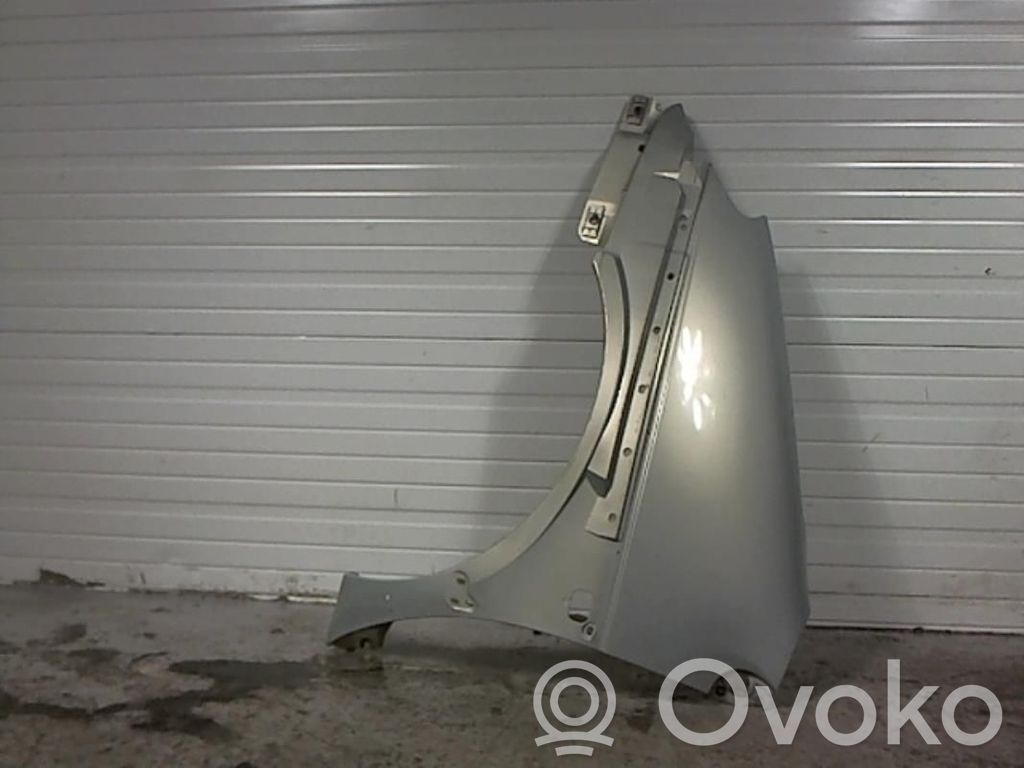 Renault Scenic I Guardabarro 