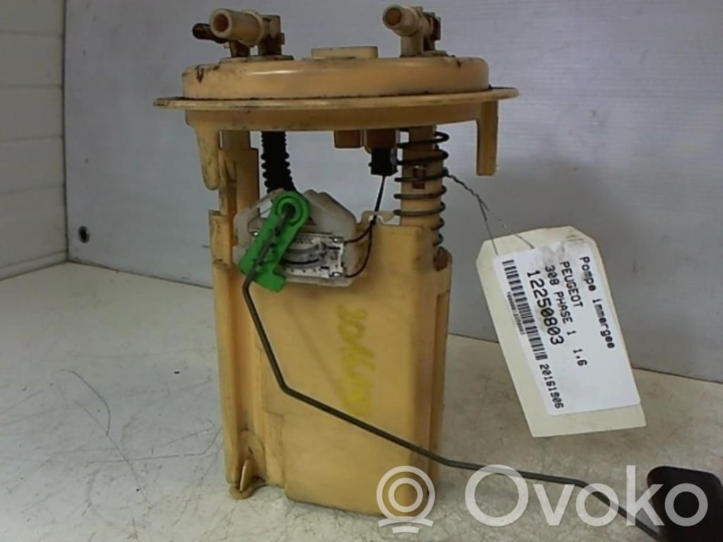 Peugeot 308 In-tank fuel pump 